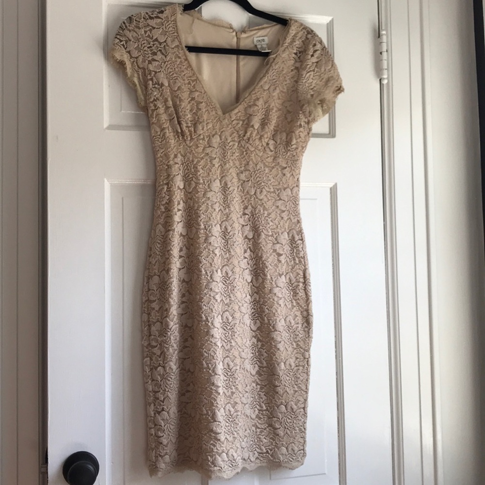 Cache lace dress